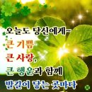 겨울미소만물