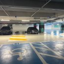 과천대로12길 | 과천한식뷔페 봄봄 한식뷔페 오픈 방문 후기