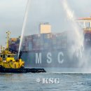 MSC앞 이미지