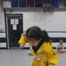 은천태권도장 이미지