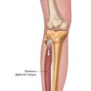 하늘한의원 이미지
