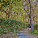 동구나무어린이공원 이미지