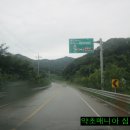 안동사대부찜닭 이미지