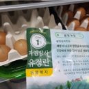 건강농장 이미지