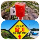 재인 농장 이미지