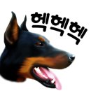 고고댕댕 이미지