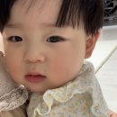 벤헤드바운스 네이버블로그