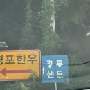 성곡6-19농로 | 강릉 디저트 간식 선물추천 강릉샌드 초당옥수수맛 후기