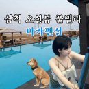 2824 | 삼척 궁촌해수욕장 오션뷰 풀빌라:: 마카펜션