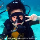 섬 게스트하우스 이미지