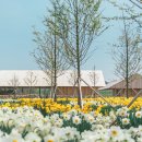 궁평2리 마을회관 이미지