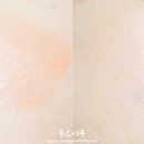 핑키플로리아 이미지