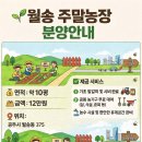 월송농장 네이버블로그
