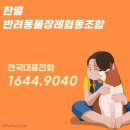 신기한면 이미지