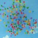 미쓰버블