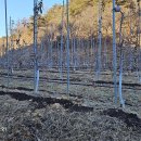 태양부동산중개 이미지