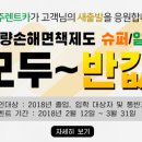 제주도 여행 자동차 렌트는~!? 제주렌트카에서 하세요!