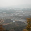 영천시 경계 도로옆 Daum카페