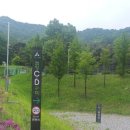 수레의산자연휴양림 티스토리