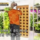 식물병원초록에서