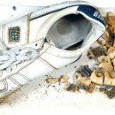 청년운동화 이미지