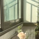 썰전의짬뽕 이미지