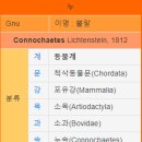 개'S 라인 이미지