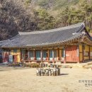 상주 남장사 관음선원 목각아미타여래설법상 | 관음선원(觀音禪院) / 남장사 관음선원