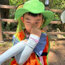🌳 6월 3주 - 숲 해설가 숲 체험 활동1 (금강공원) 🌳 이미지