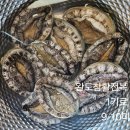 완도 활전복 이미지