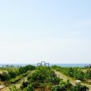 월드아카데미 이미지