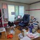 중앙동235 이미지