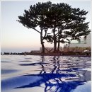 해원골프연습장 | [제주도]빌라 드 애월, 제주도 풀빌라 펜션 &amp; 부띠끄 호텔, 제주도 2박3일 여행코스 추천-마야의 제주도...
