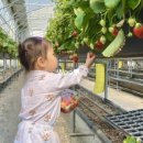 신관농장 이미지