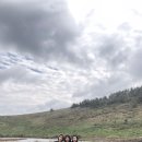 자매해장국 이미지