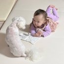 견생낙원 이미지