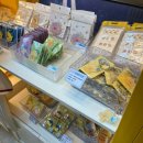 배재대학교 관광축제호텔대학원 | [여행] 무궁화호 타고 뚜벅이 1박 2일 대전 여행 : 1일차 코스(한밭수목원, 이응노미술관, 엑스포...