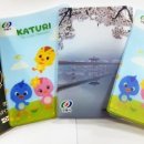 안동케이스 이미지