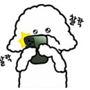놀다가시개 이미지