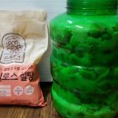왕성한영농