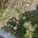 무진장노래연습장 이미지