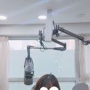서초동 1330-10 사무실용 건축물 | (집순이 특) 한번의 외출에 모든 용건을 해결함