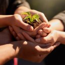 케이에스팜 이미지