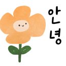 빵글마켓 네이버블로그