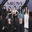 미야오 카카오 검색결과