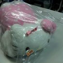 선학 세탁 이미지