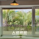 [공지] 제주 동쪽 구좌 감성숙소 스르르르 &#39;스르&#39; 연박 후기🌴💚 (+주변맛집,예약링크)