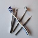 365향남플란트치과의원 이미지