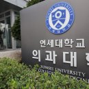 517 이미지