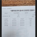 왕조식당 이미지